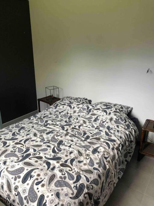 Suite Independante Au Coeur D'Un Jardin Arbore. Montaut  Εξωτερικό φωτογραφία