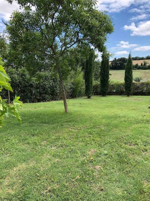 Suite Independante Au Coeur D'Un Jardin Arbore. Montaut  Εξωτερικό φωτογραφία